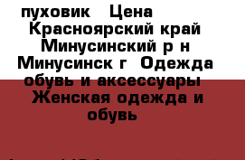 пуховик › Цена ­ 3 000 - Красноярский край, Минусинский р-н, Минусинск г. Одежда, обувь и аксессуары » Женская одежда и обувь   